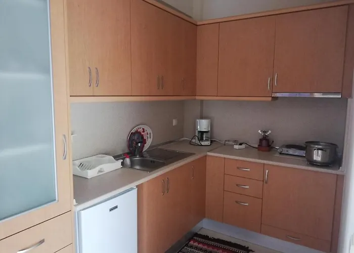 Apartamento σπιτι στουσ προποδεσ του ολυμπου *